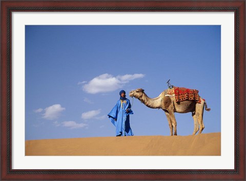 Framed Man leading camel on sand dunes, Tinfou (near Zagora), Morocco, Africa Print