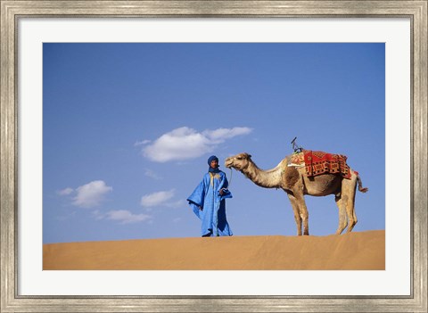 Framed Man leading camel on sand dunes, Tinfou (near Zagora), Morocco, Africa Print