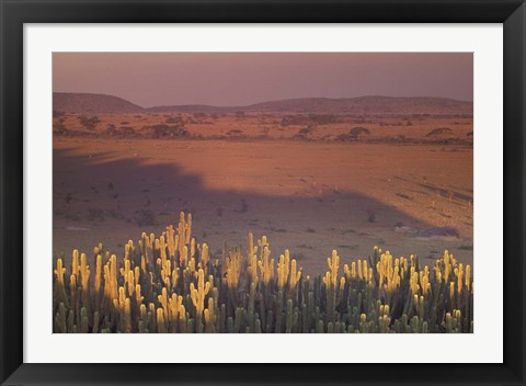 Framed Landscape View, Serengeti National Park, Tanzania Print