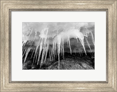 Framed Icicles hang from an ice roof, Cuverville Island, Antarctica. Print