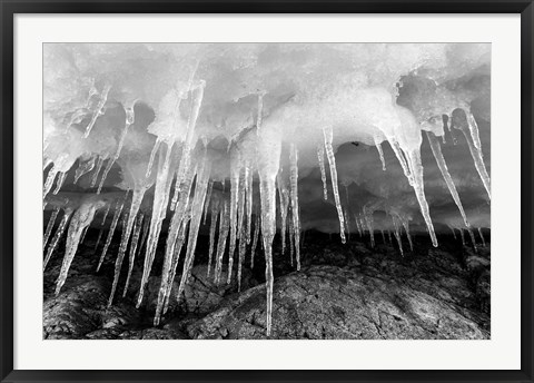 Framed Icicles hang from an ice roof, Cuverville Island, Antarctica. Print