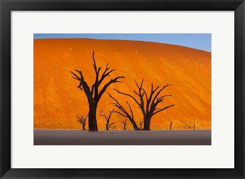 Framed Namib-Naukluft National Park, Namibia Print