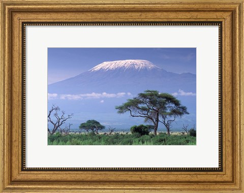 Framed Mount Kilimanjaro, Amboseli National Park, Kenya Print