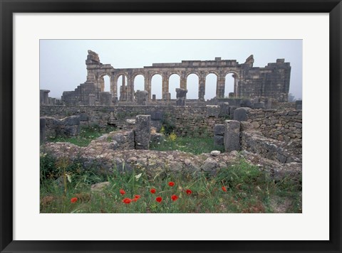 Framed Red Poppies near Basilica in Ancient Roman City, Morocco Print