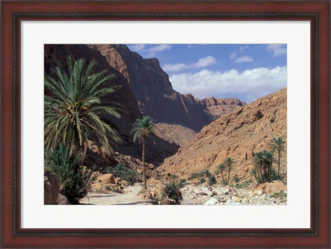 Framed Palm Trees and Creekbed Below Limestone Cliffs, Morocco Print