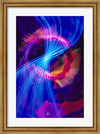 Framed Blue and Pink Neon Lighting with Nightzoom Print