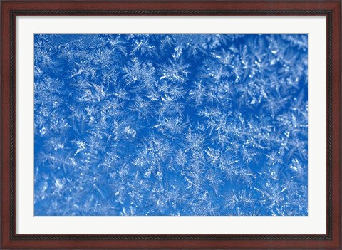Framed Pattern of Winter Frost on Glass Print