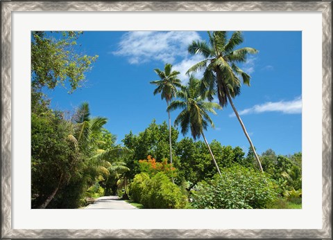 Framed Seychelles, La Digue. Remote island path Print