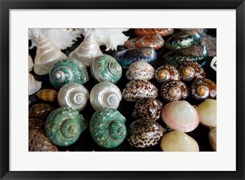 Framed Shells for sale in market, Mahe Island, Seychelles Print