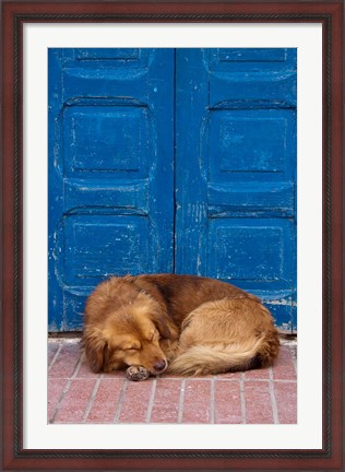 Framed Sleeping Dog, Essaouira, Morocco Print