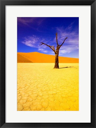 Framed Skeleton Trees in Dead Vlei, Namibia Print