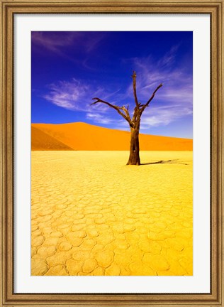 Framed Skeleton Trees in Dead Vlei, Namibia Print