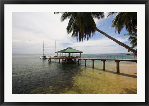 Framed Seychelles, Anse Bois de Rose, Coco de Mer, Resort Print