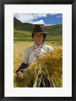 Framed Tibetan Farmer Harvesting Barley, East Himalayas, Tibet, China Print