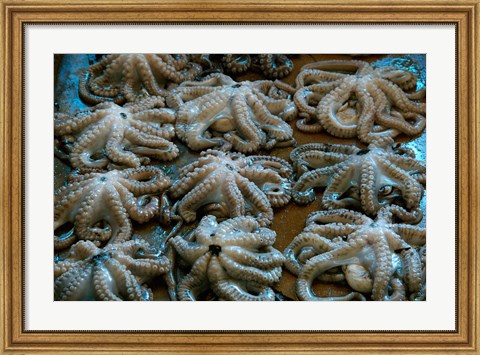 Framed Tanzania, Zanzibar, StoneTown, Darajani Market, Octopus Print