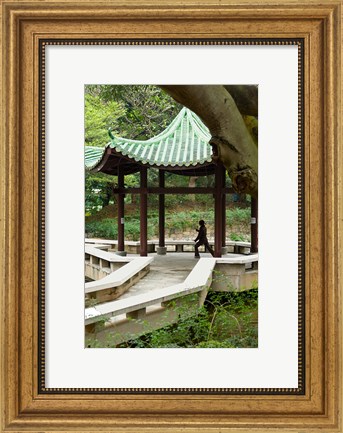Framed Tai Chi Chuan in the Chinese Garden Pavilion at Kowloon Park, Hong Kong, China Print
