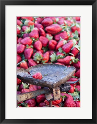 Framed Strawberries for sale in Fes medina, Morocco Print
