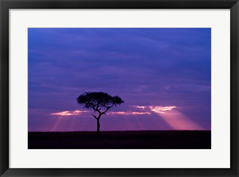 Framed Blue skies, Maasai Mara, Kenya Print