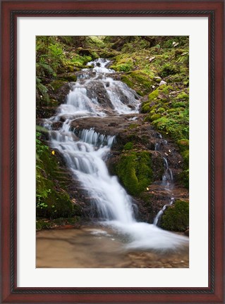 Framed Waterfall, Bhutan Print