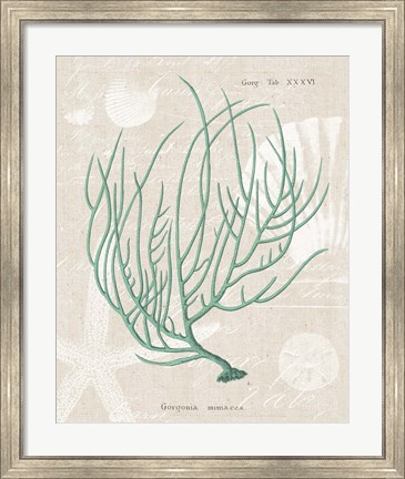 Framed Gorgonia Miniacea on Linen Sea Foam Print