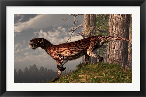 Framed leopard coated Lycaenops hunts among a forest Print