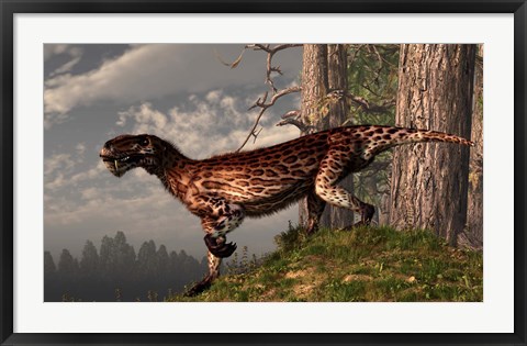 Framed leopard coated Lycaenops hunts among a forest Print