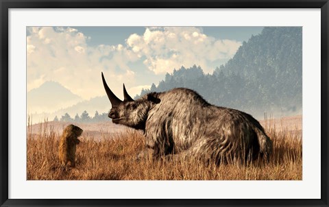 Framed marmot approaches an old and grey woolly rhinocerous Print