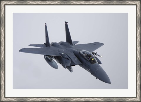 Framed F-15E Strike Eagle of the US Air Force Print