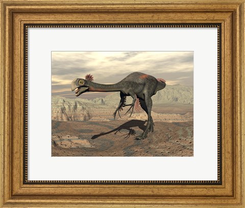 Framed Gigantoraptor dinosaur walking  on rocky terrain Print