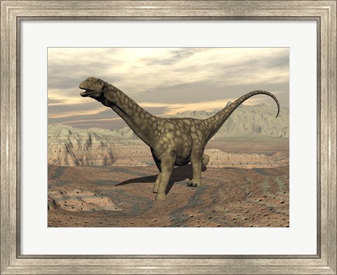 Framed Large Argentinosaurus dinosaur walking on rocky terrain Print