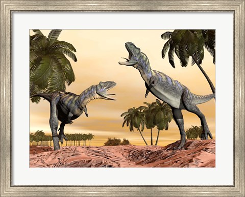 Framed Two Aucasaurus dinosaurs fighting in desert Print