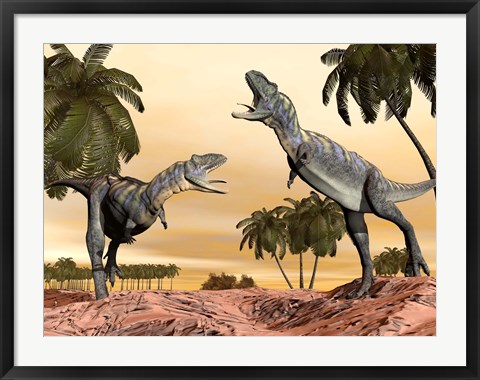 Framed Two Aucasaurus dinosaurs fighting in desert Print