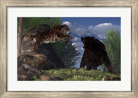 Framed saber-toothed cat leaps at a grizzly bear on a mountain path Print