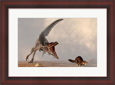 Framed velociraptor chasing a rat sized mammal Print