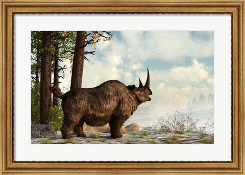 Framed woolly rhinoceros trudges through the snow, Pleistocene epoch Print