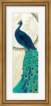 Framed Proud as a Peacock IV Print