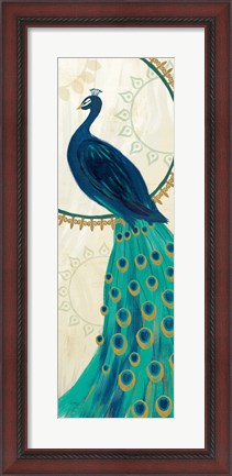 Framed Proud as a Peacock IV Print