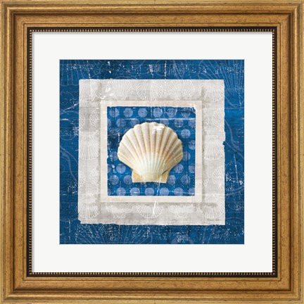 Framed Sea Shell III on Blue Print