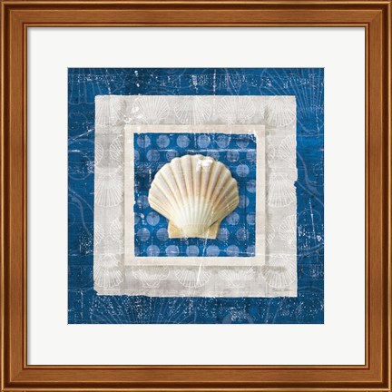 Framed Sea Shell III on Blue Print