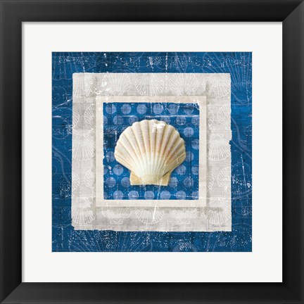 Framed Sea Shell III on Blue Print