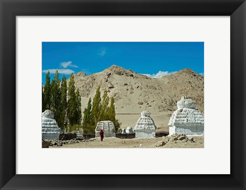 Framed White Stupa Forest, Shey, Ladakh, India Print