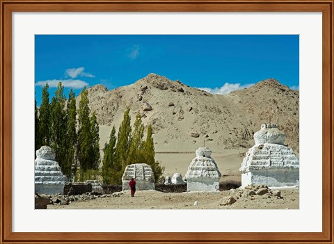 Framed White Stupa Forest, Shey, Ladakh, India Print
