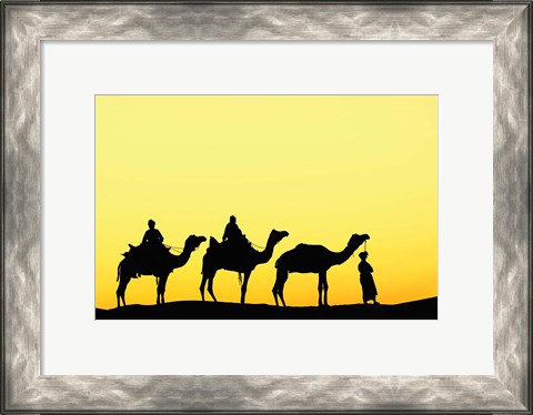 Framed Camels and driver at sunset, Thar Desert, Jodhpur, India Print