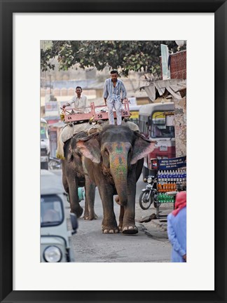 Framed Colorfully decorated elephant, Amber Fort, Jaipur, India Print