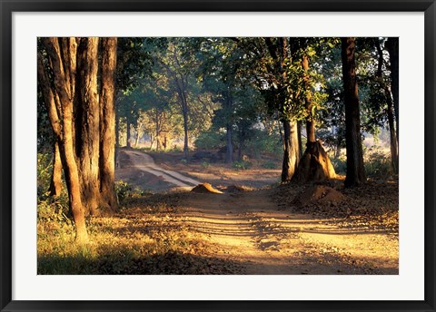 Framed Rural Road, Kanha National Park, India Print