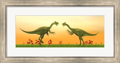 Framed Two Gigantoraptor dinosaurs fighting on green grass by sunset Print