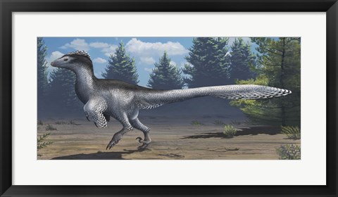 Framed mid-sized Cretaceous China deinonychosaur Print