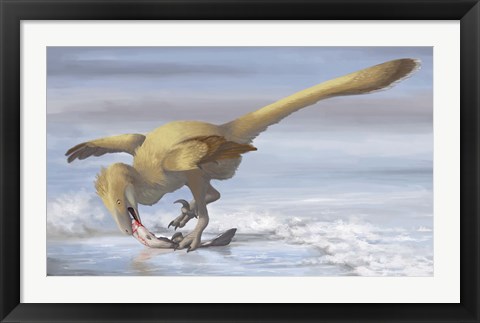 Framed Deinonychus antirrhopus preys on a fish Print