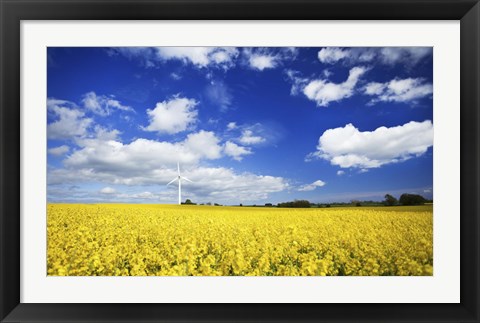 Framed Wind turbine in a canola field against cloudy sky, Denmark Print