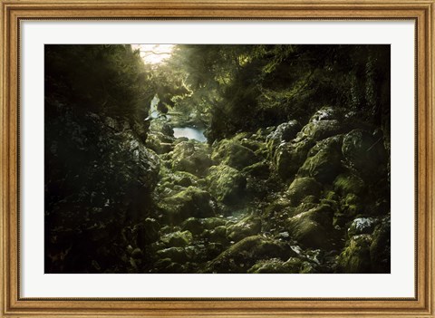 Framed Aged boulders covered with moss in the Ritsa Nature Reserve Abkhazia Print